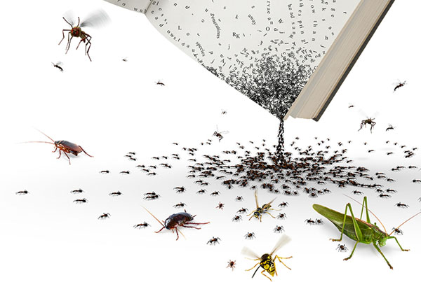 Univar | Book Bugs